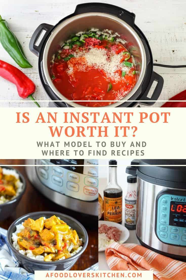 Should I Buy An Instant Pot and Which One? A Food Lover's Kitchen