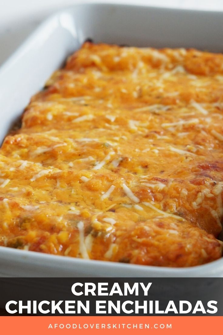 Sour Cream Chicken Enchiladas A Food Lover's Kitchen