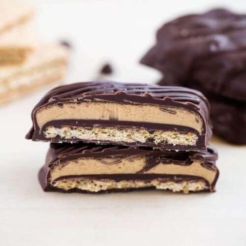 Chocolate Peanut Butter Sandwich