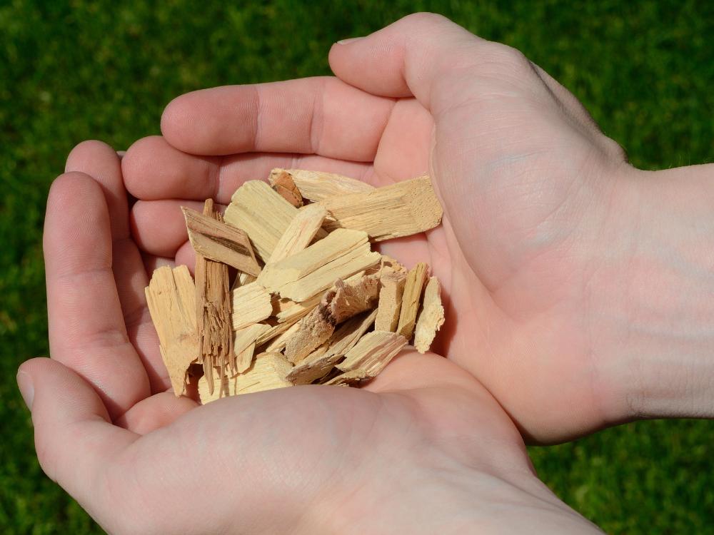 wood chips for smoking