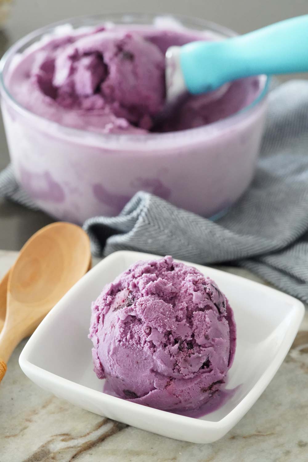 https://afoodloverskitchen.com/wp-content/uploads/blueberry-ice-cream-t1.jpg