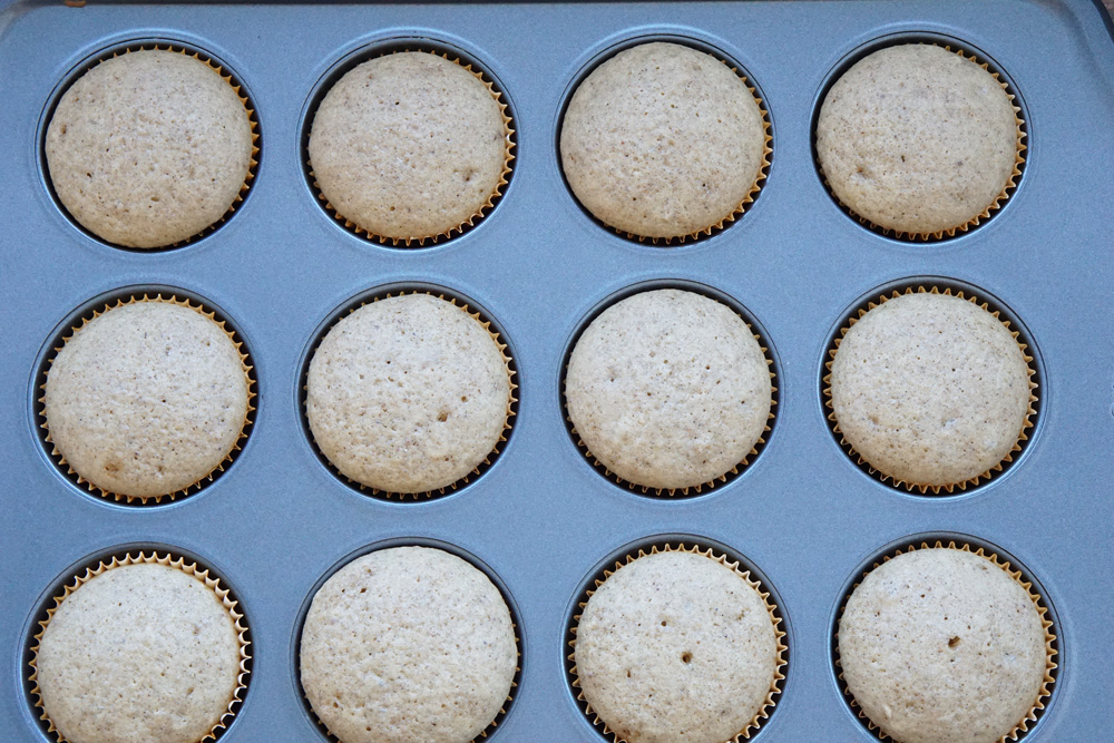 Baked cupcakes in the tin