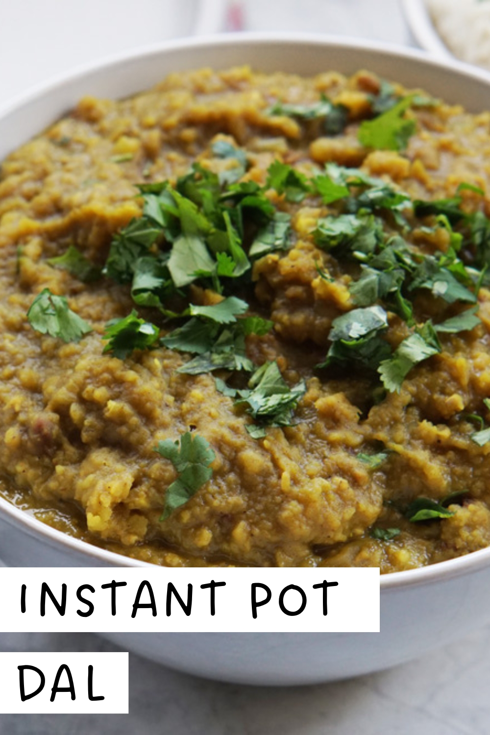 Instant Pot Dal - A Food Lover's Kitchen