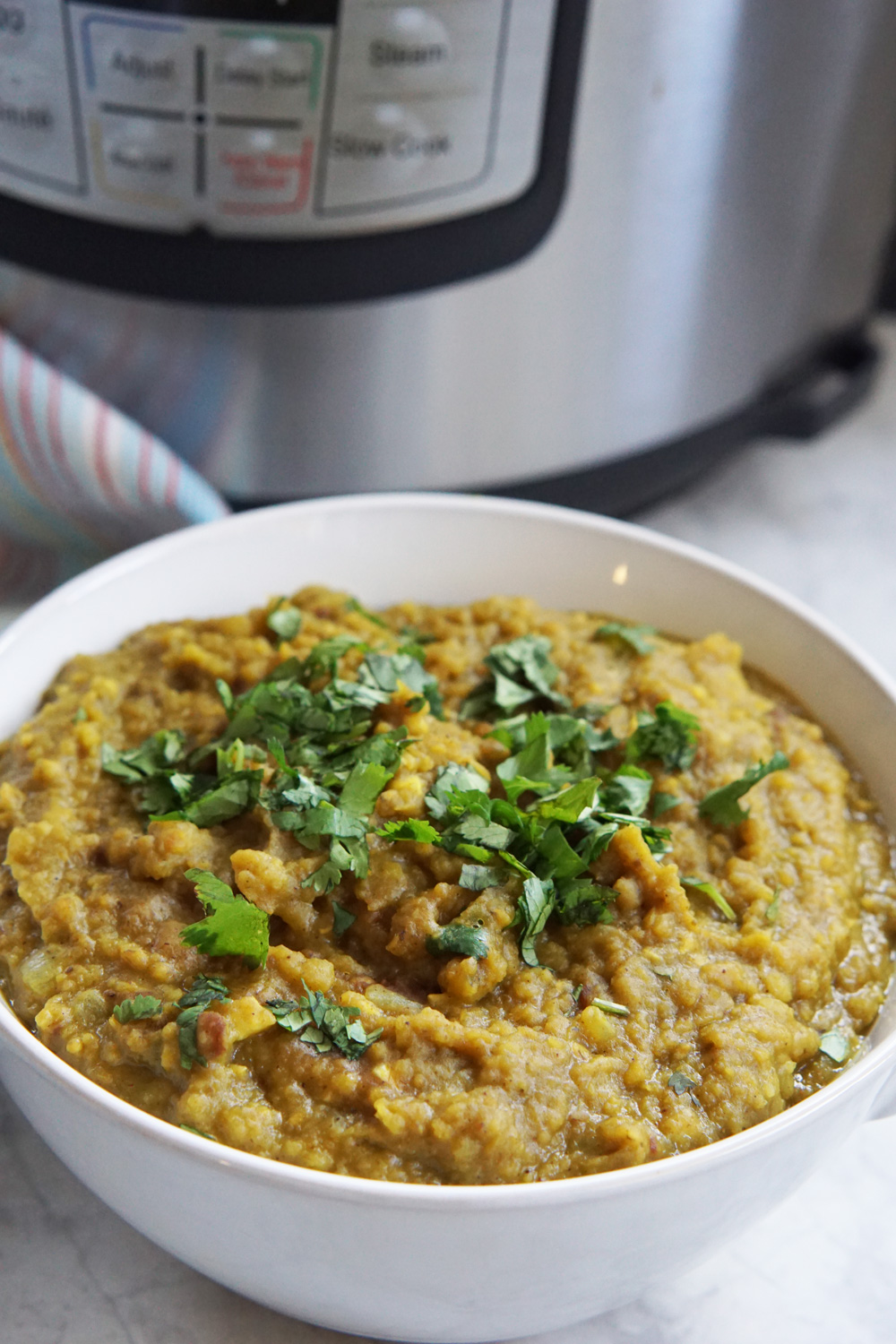 Instant Pot Dal