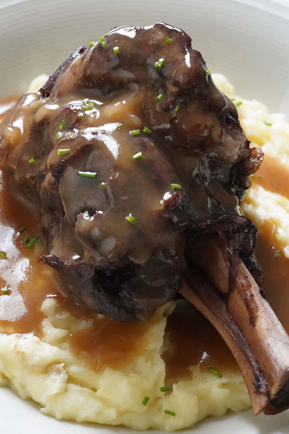 lamb shanks