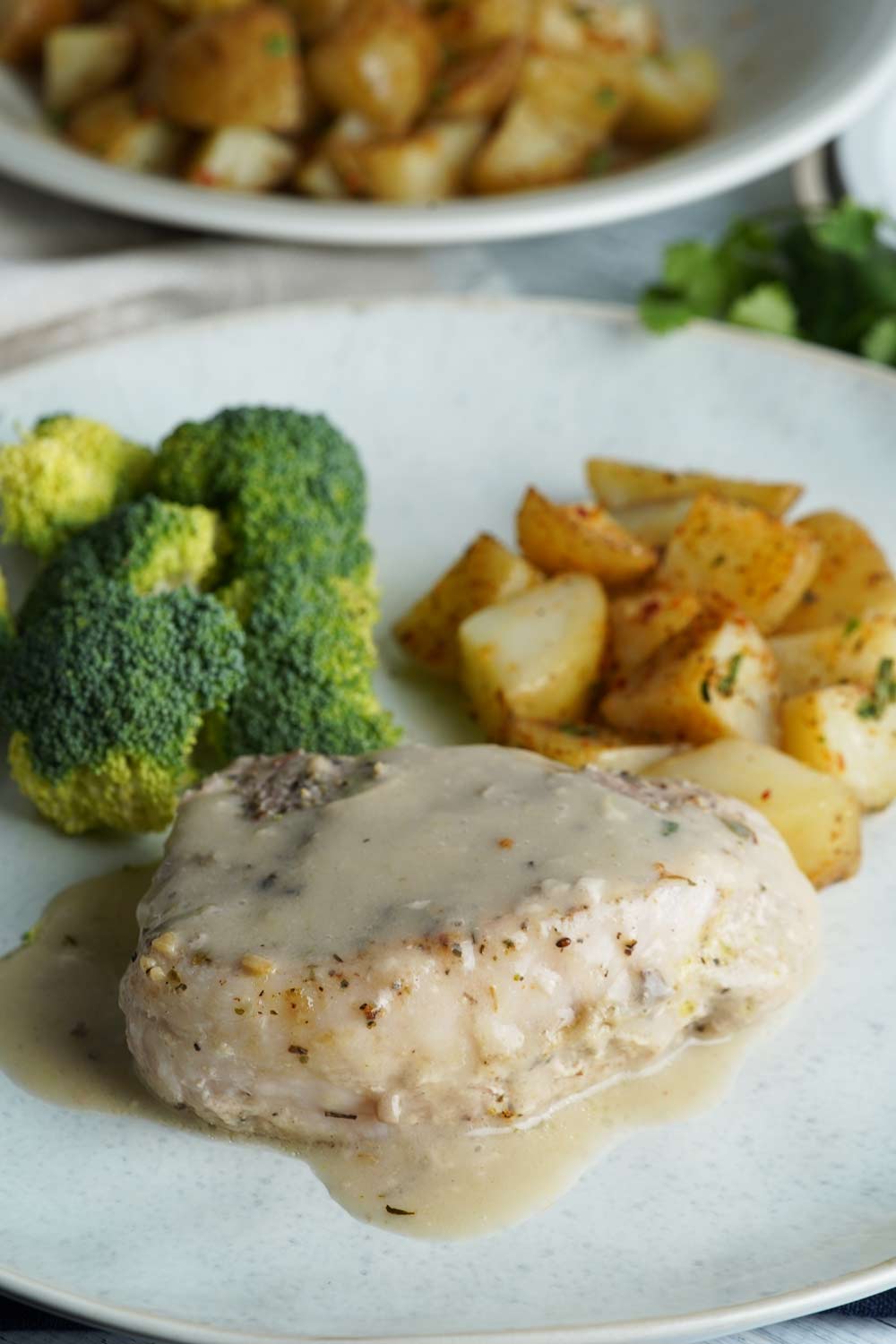 slow cooker pork chops