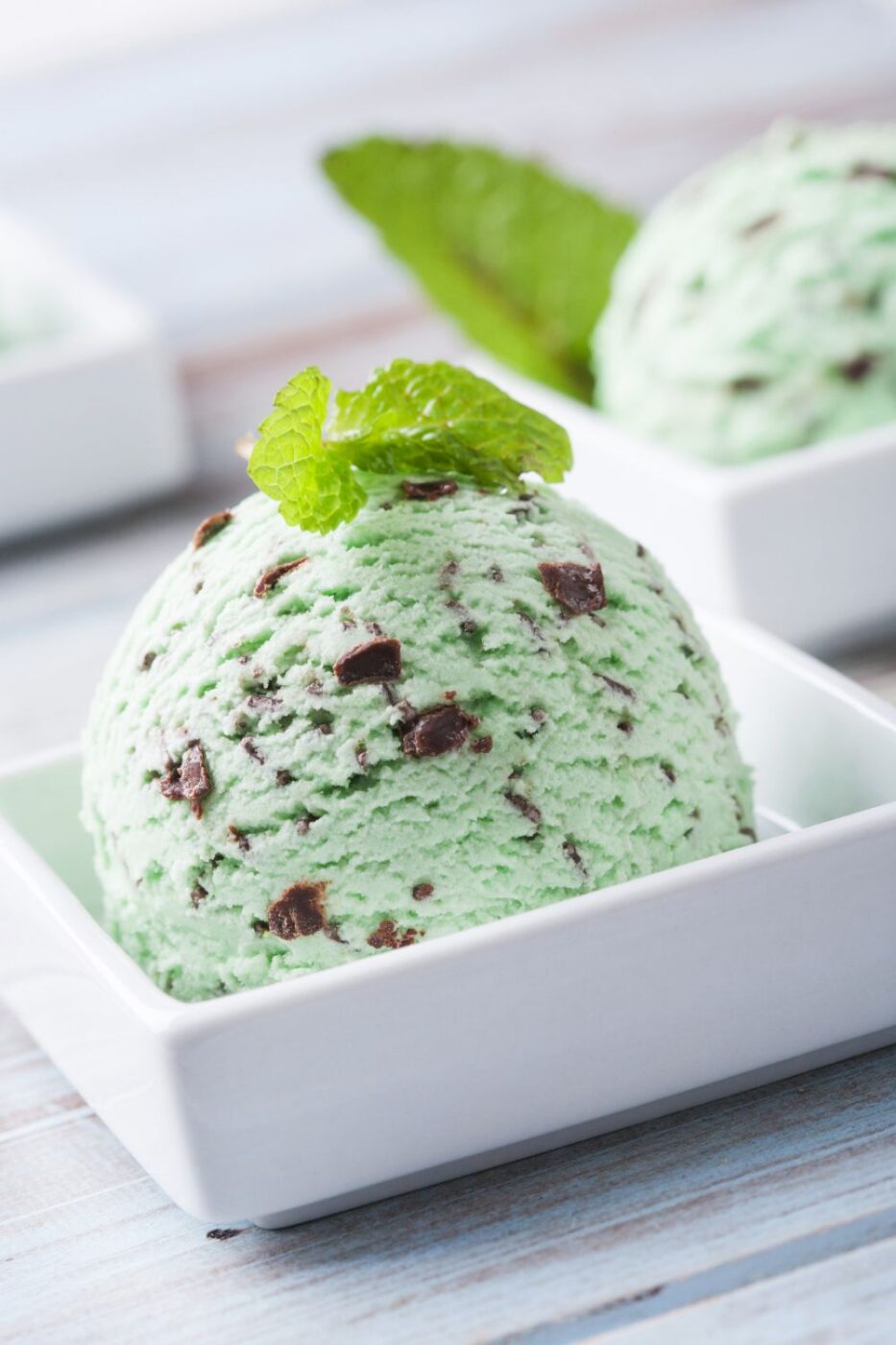 Ice cream maker discount mint chocolate chip recipe