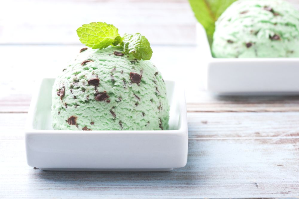 Top 6 homemade chocolate chip mint ice cream 3 Homemade Mint Chocolate Chip Ice Cream
