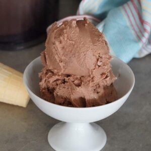 A bowl of chocolate ice cream.