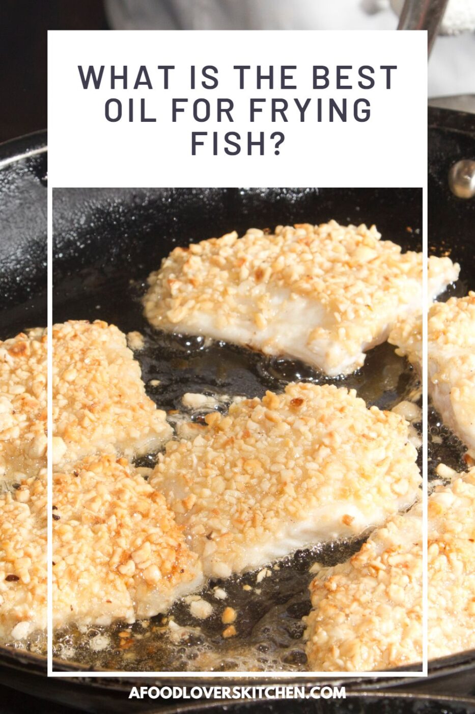 Fish frying in a pan