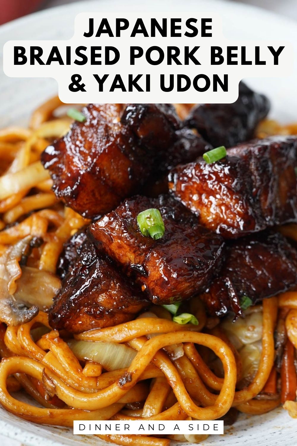 Japanese Braised Pork Belly & Yaki Udon A Food Lover's Kitchen