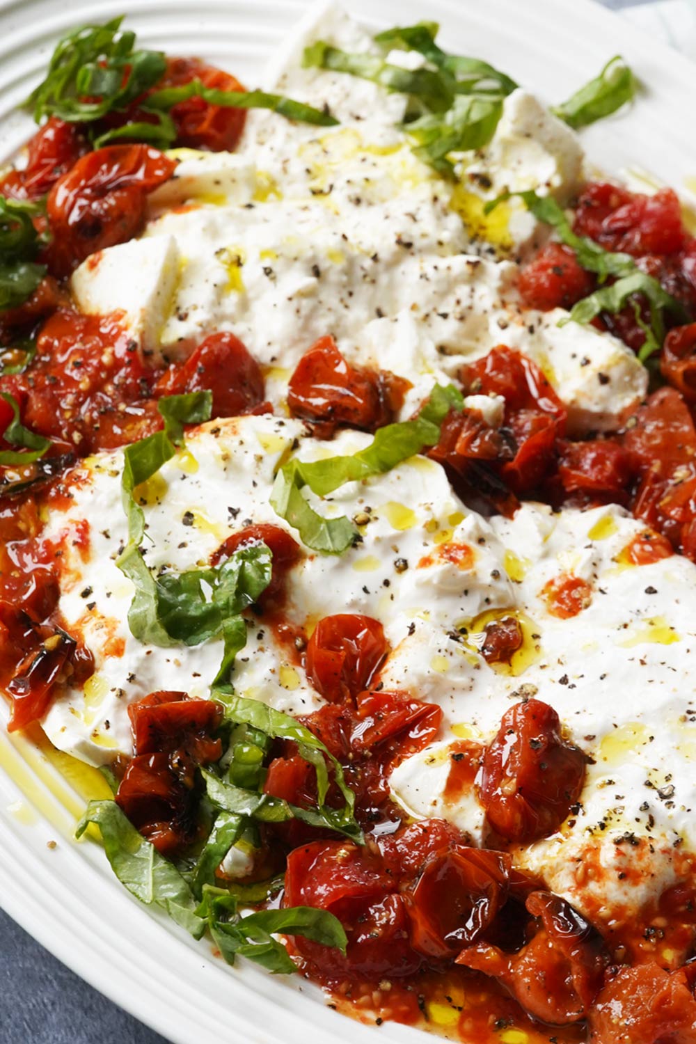 roasted tomato burrata