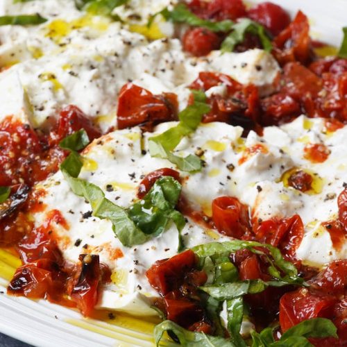 roasted tomato burrata