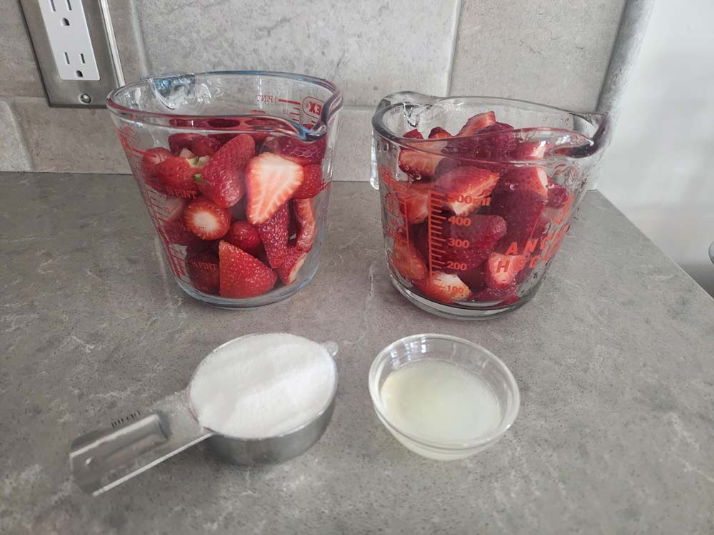 Ingredients for strawberry fruit leather