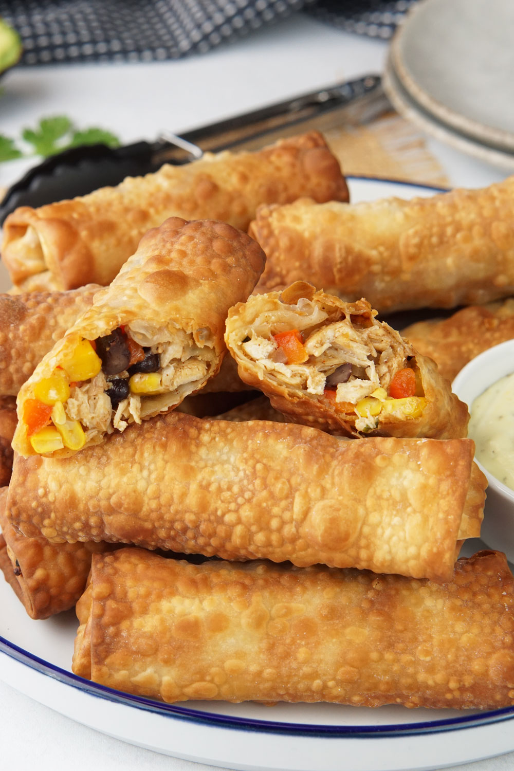 tex mex eggrolls