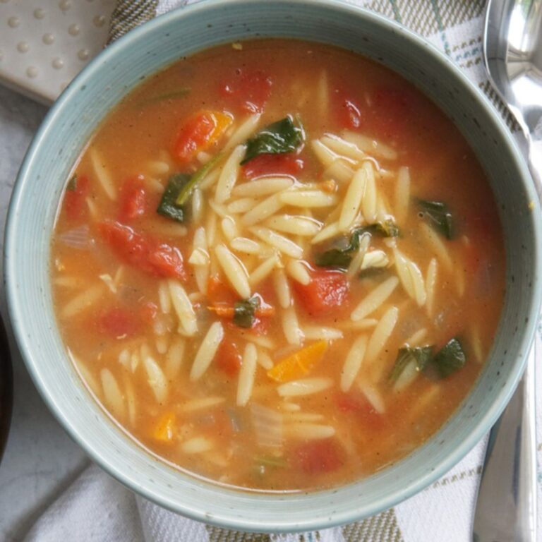 Vegetable Orzo Soup A Food Lover's Kitchen